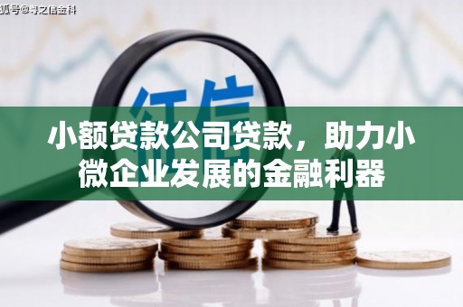 怀来小额贷款公司贷款，助力小微企业发展的金融利器