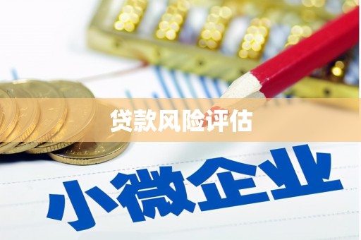 怀来贷款风险评估