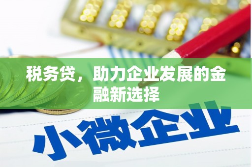 怀来税务贷，助力企业发展的金融新选择