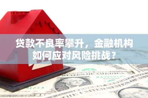 怀来贷款不良率攀升，金融机构如何应对风险挑战？
