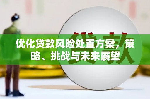 怀来优化贷款风险处置方案，策略、挑战与未来展望