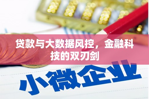 怀来贷款与大数据风控，金融科技的双刃剑