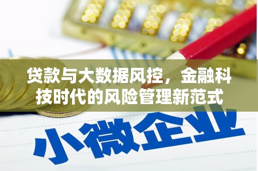 怀来贷款与大数据风控，金融科技时代的风险管理新范式