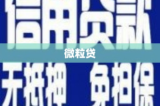 怀来微粒贷