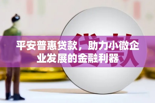 怀来平安普惠贷款，助力小微企业发展的金融利器