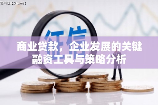 怀来商业贷款，企业发展的关键融资工具与策略分析