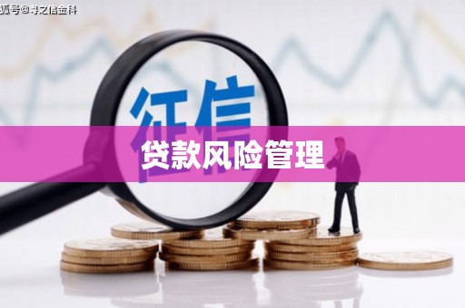 怀来贷款风险管理