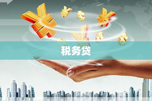 怀来税务贷