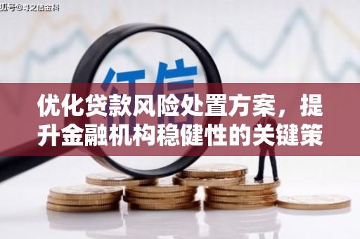 怀来优化贷款风险处置方案，提升金融机构稳健性的关键策略