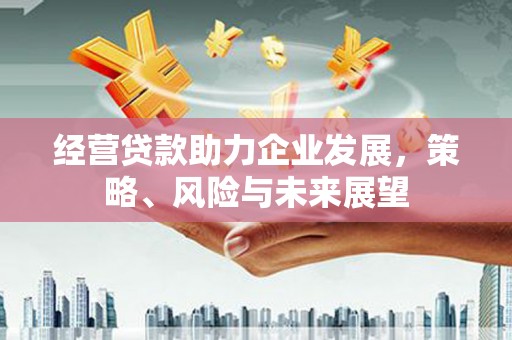怀来经营贷款助力企业发展，策略、风险与未来展望