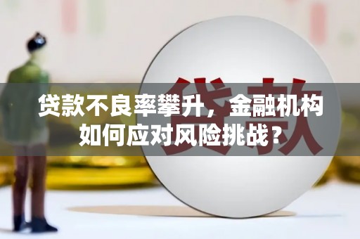怀来贷款不良率攀升，金融机构如何应对风险挑战？