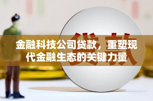 怀来金融科技公司贷款，重塑现代金融生态的关键力量