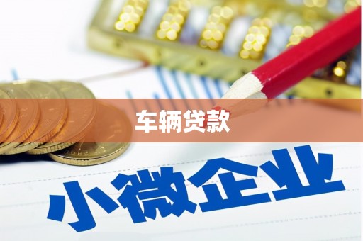 怀来车辆贷款