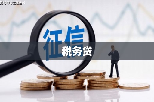 怀来税务贷