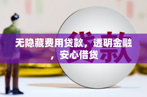 怀来无隐藏费用贷款，透明金融，安心借贷
