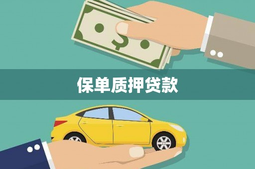 怀来保单质押贷款