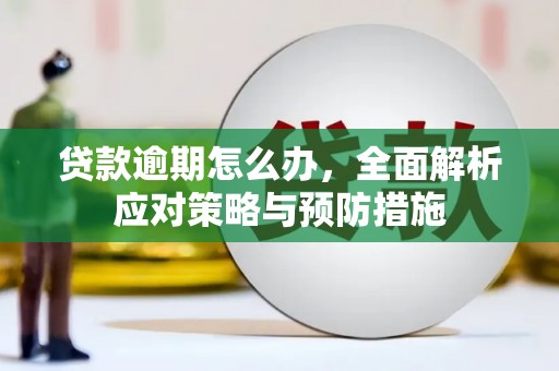 怀来贷款逾期怎么办，全面解析应对策略与预防措施
