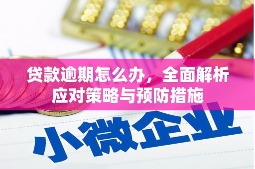 怀来贷款逾期怎么办，全面解析应对策略与预防措施