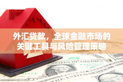 怀来外汇贷款，全球金融市场的关键工具与风险管理策略