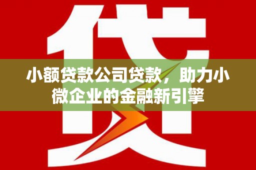 怀来小额贷款公司贷款，助力小微企业的金融新引擎
