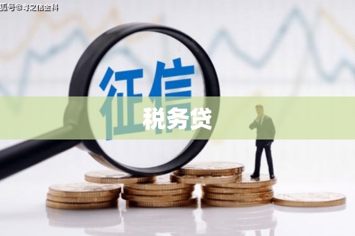 怀来税务贷