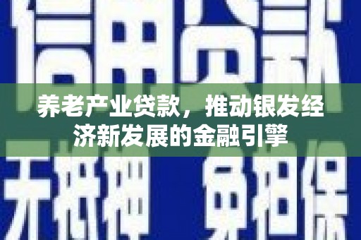 怀来养老产业贷款，推动银发经济新发展的金融引擎