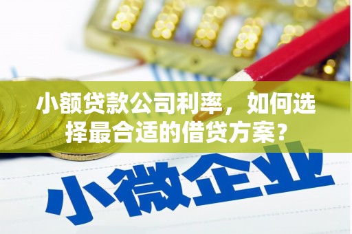 怀来小额贷款公司利率，如何选择最合适的借贷方案？