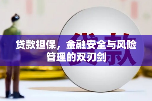怀来贷款担保，金融安全与风险管理的双刃剑