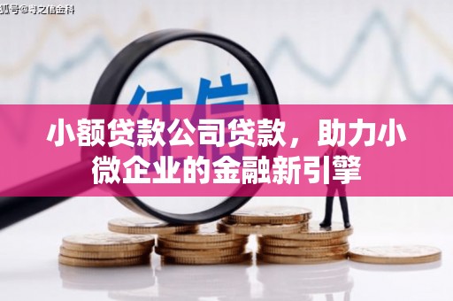 怀来小额贷款公司贷款，助力小微企业的金融新引擎