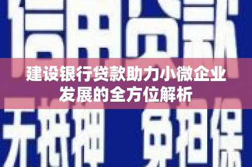 怀来建设银行贷款助力小微企业发展的全方位解析