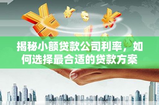 怀来揭秘小额贷款公司利率，如何选择最合适的贷款方案