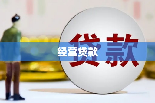 怀来经营贷款
