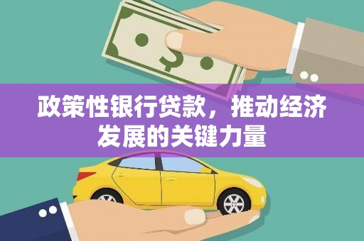 怀来政策性银行贷款，推动经济发展的关键力量