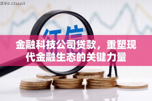 怀来金融科技公司贷款，重塑现代金融生态的关键力量