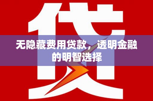 怀来无隐藏费用贷款，透明金融的明智选择