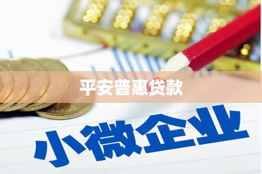怀来平安普惠贷款