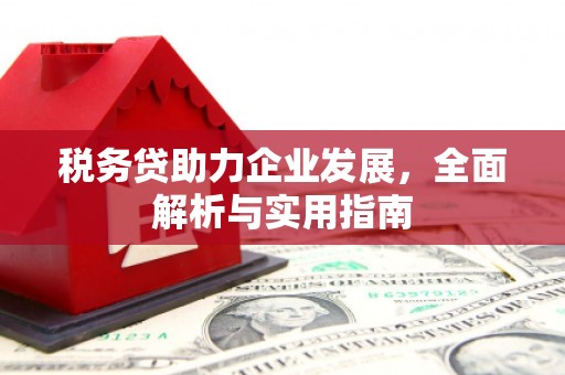 怀来税务贷助力企业发展，全面解析与实用指南