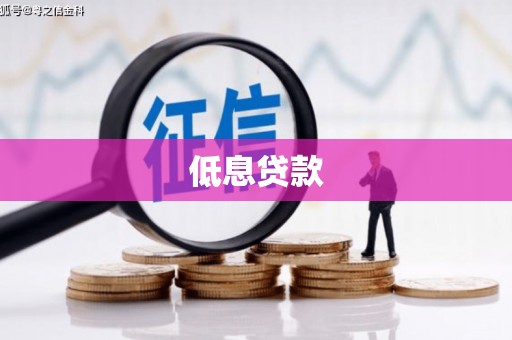 怀来低息贷款