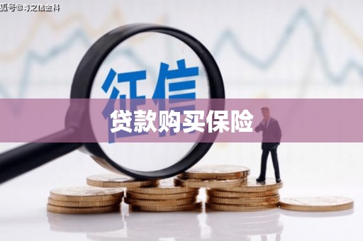 怀来贷款购买保险