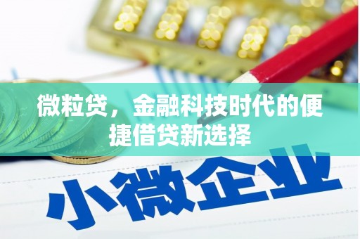 怀来微粒贷，金融科技时代的便捷借贷新选择