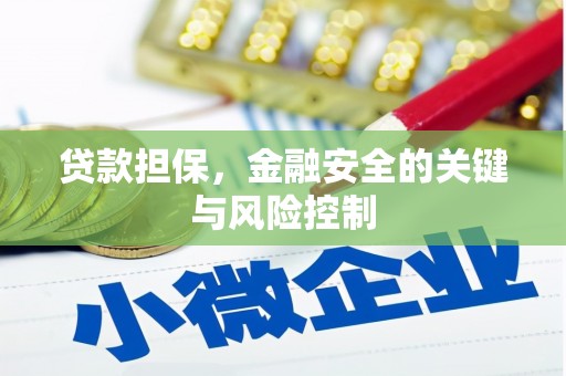 怀来贷款担保，金融安全的关键与风险控制