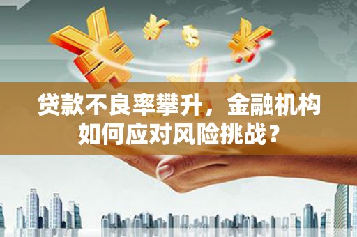 怀来贷款不良率攀升，金融机构如何应对风险挑战？
