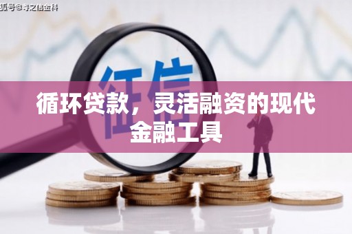 怀来循环贷款，灵活融资的现代金融工具