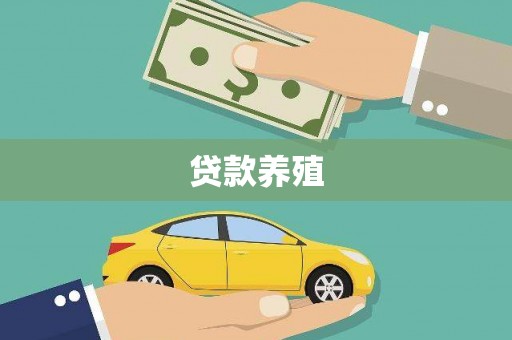怀来贷款养殖