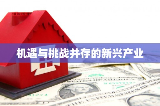 怀来机遇与挑战并存的新兴产业