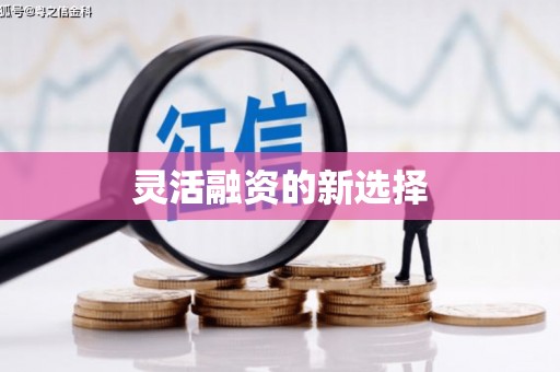 怀来灵活融资的新选择