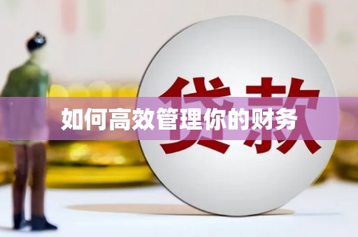 怀来如何高效管理你的财务