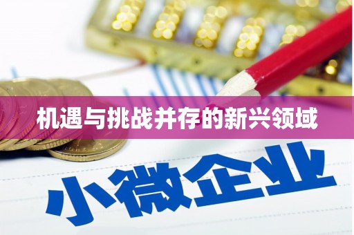 怀来机遇与挑战并存的新兴领域