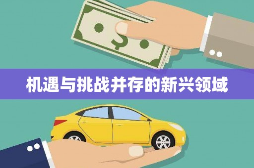 怀来机遇与挑战并存的新兴领域