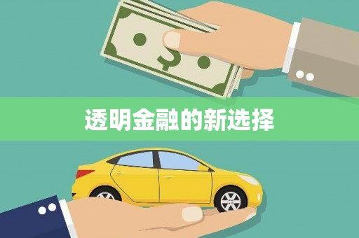 怀来透明金融的新选择